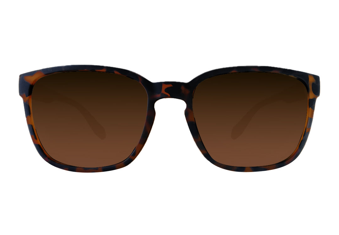 Cabana XL - Tortoise Shell - Brown Gradient Polarized