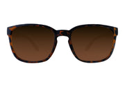 Cabana XL - Tortoise Shell - Brown Gradient Polarized