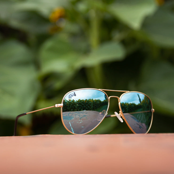 Gold - Sky Blue Lens Polarized - Oasis